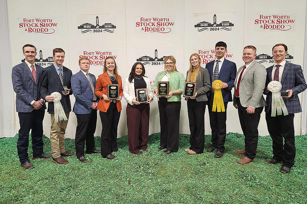 Casper College Livestock Judging Team Wows in Recent Competitions