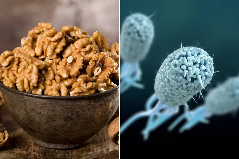 CDC Warns of E. Coli Outbreak Linked to Organic Walnuts Sold in Bulk