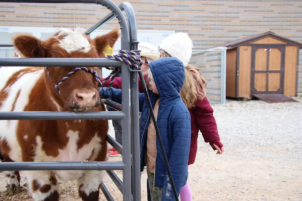 PHOTOS: Natrona County Students Learn about the Importance of Agriculture