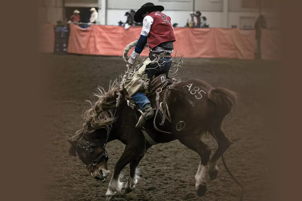 Excitement Builds As Casper College Hosts 68th Ropin And Riggin Days