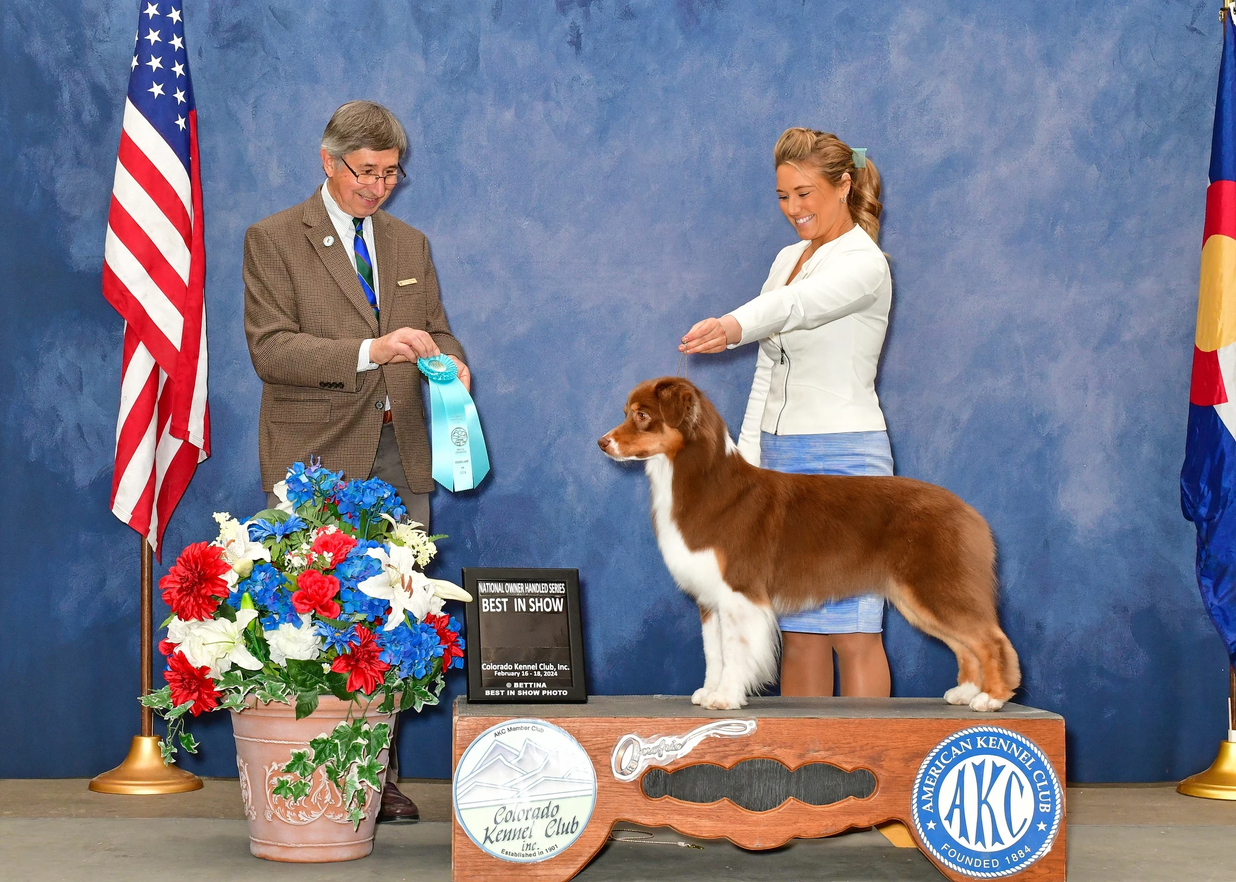 Atta Girl! Central Wyoming Aussie Competing in Westminster Dog Show