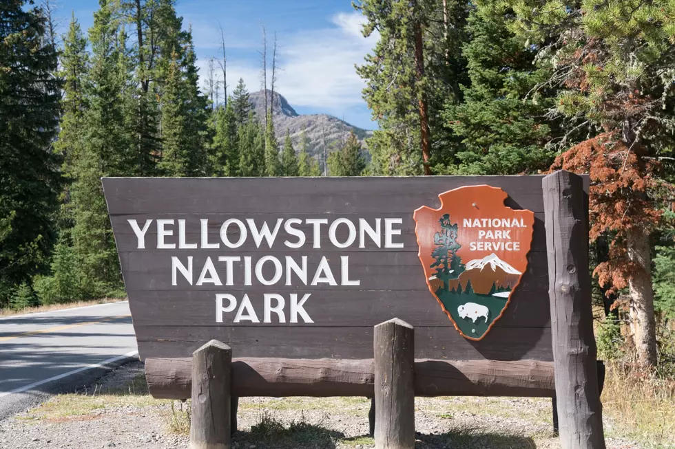 Yellowstone Visitation Numbers Continue to Climb