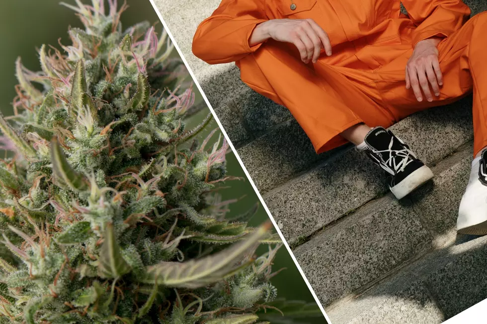 Man Sentenced After Speeding In National Park With Loaded Gun