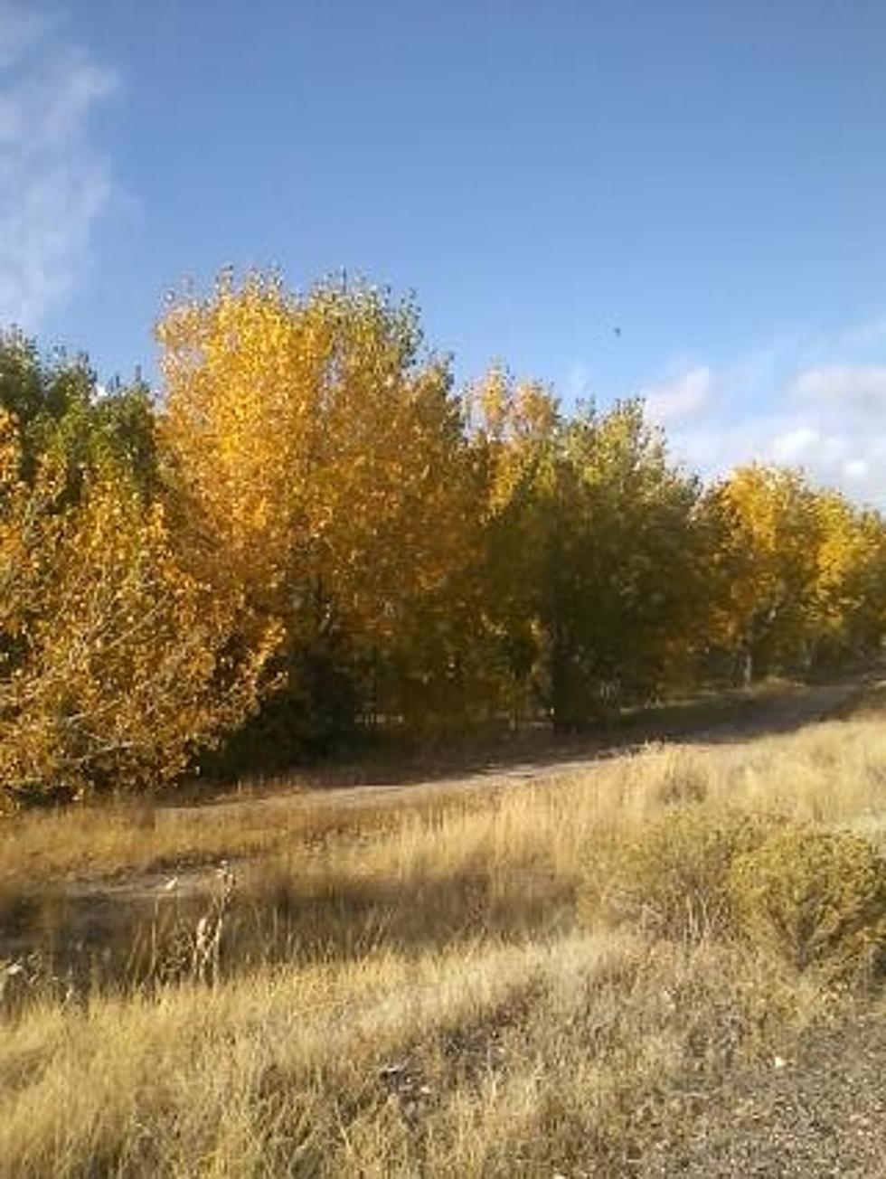 We List The Sure Signs That Fall Has Hit Casper