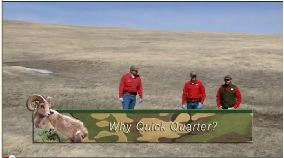 Learn How To Quick Quarter A Big Game Animal &#8211; NSFW [VIDEO]