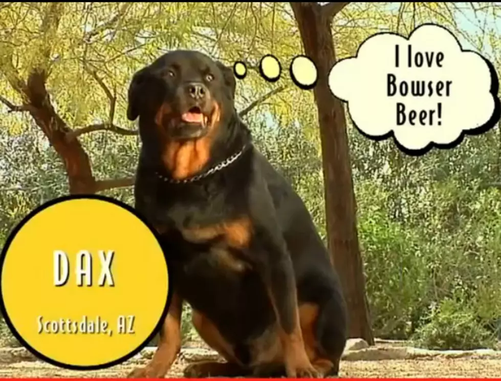 Share A Beer With Mans Best Friend [VIDEO]