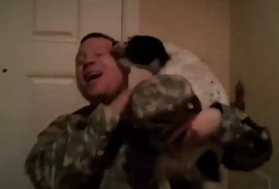 Military Reunions With Man’s Best Friend [VIDEO]