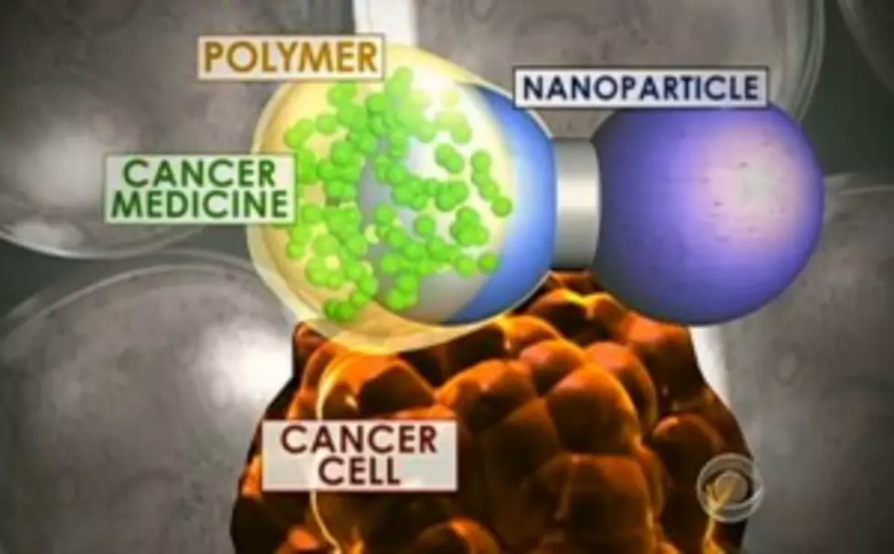 Potential Cure For Cancer Found By High School Student [VIDEO]