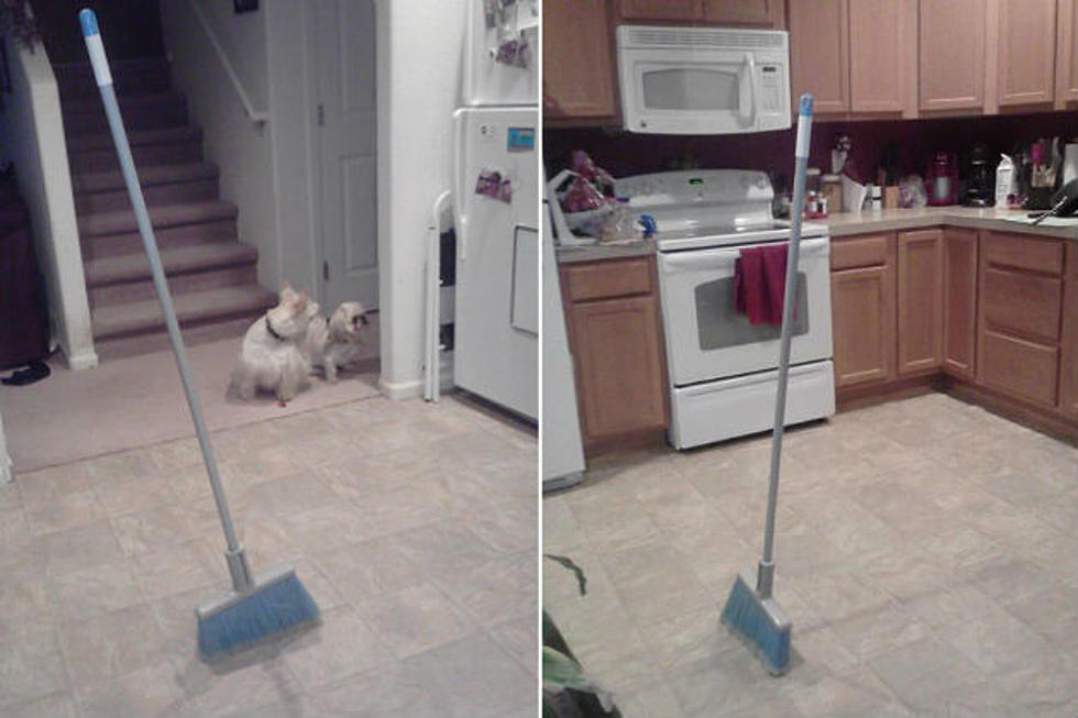 Haunted Brooms Sweeping the Nation [PHOTOS]