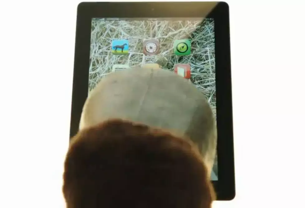 New Ipad Targeted For Horses [VIDEO]