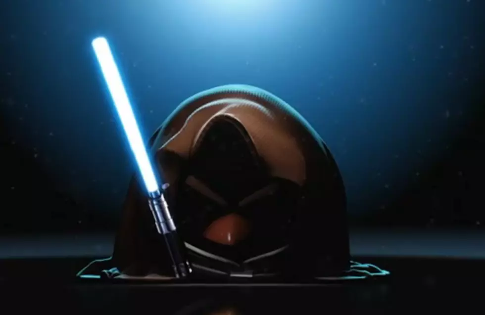 Star Wars Goes To The Birds [VIDEO]