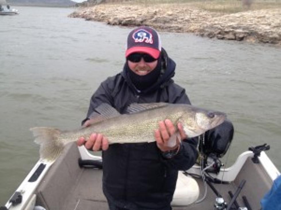 Wyoming Walleye Stampede &#8211; Glendo Results May 16th-17th [PHOTOS]