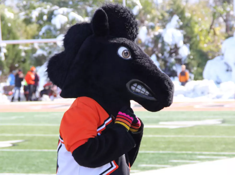 Who Is Your Favorite Wyoming High School 4A Mascot? [POLL]