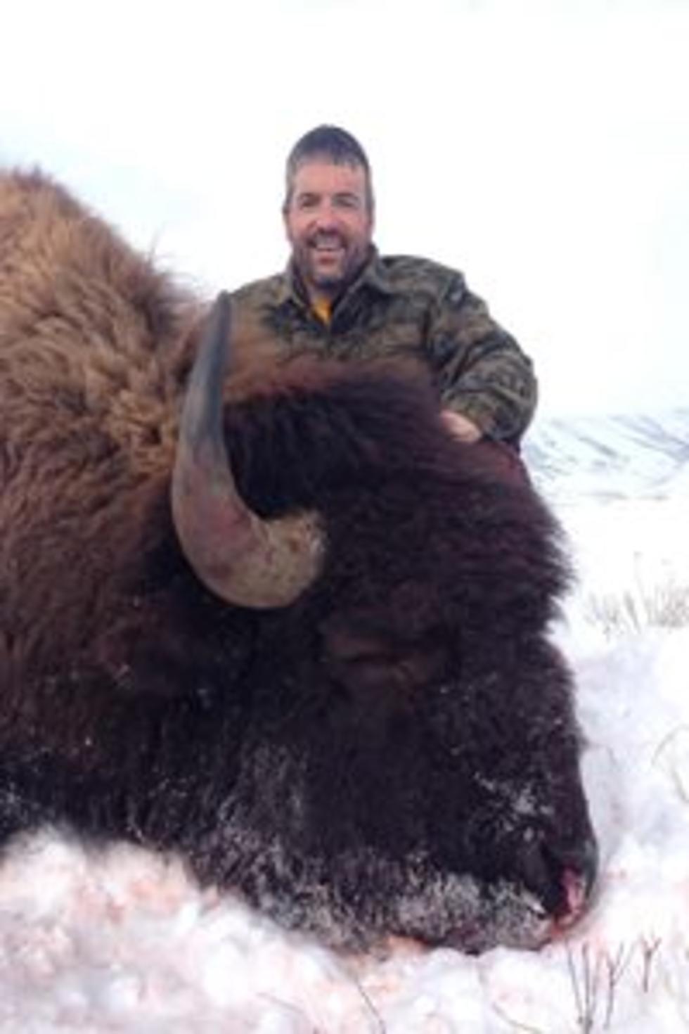 Application Deadline For Moose, Sheep, Goat And Wild Buffalo Hunting Tags Today February 29th