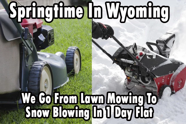5 Perfect Wyoming Springtime Memes You Can Relate To PHOTOS