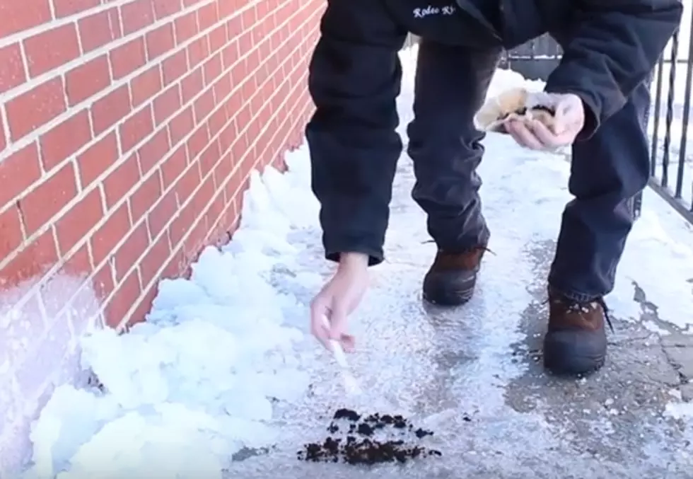 Will Coffee Grounds Remove Ice and Snow From Your Walkway? [VIDEO]