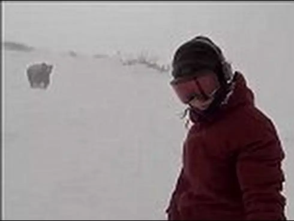 Snow Boarder Encounters Bear-Has No Idea!  Real or Fake?  You Decide!  [VIDEO]