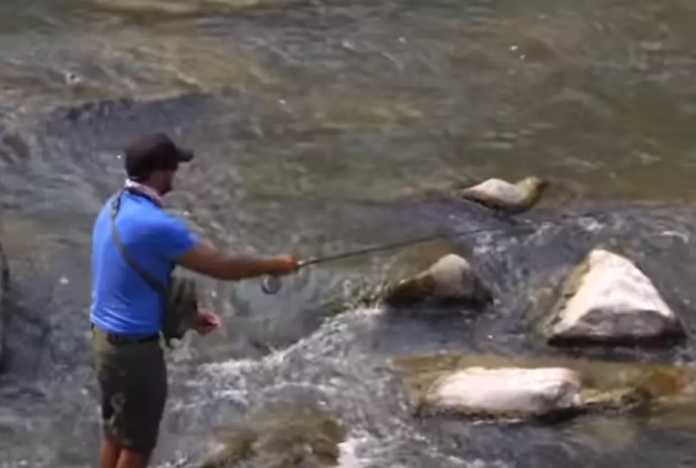 Top 5 Places to Catch Big Fish Around Casper [VIDEO]