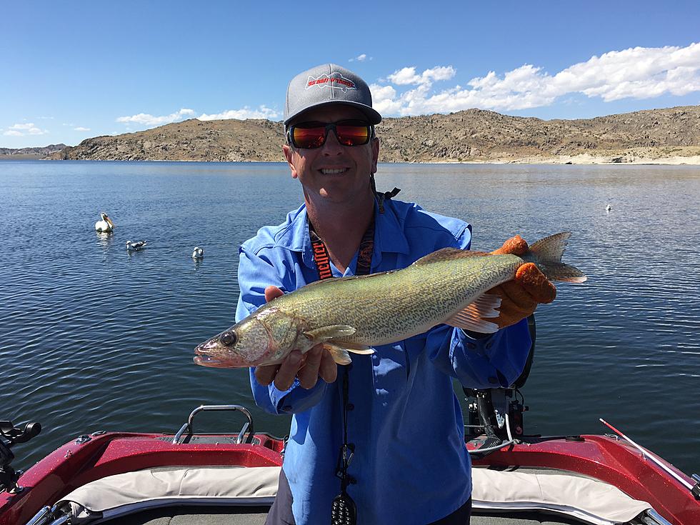 What’s Happening To Colorado Fishing? Should Wyoming Worry? [POLL]