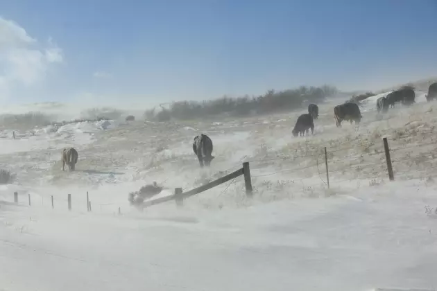 Casper Mountain Could Get 8-14 Inches of Snow Through Wednesday