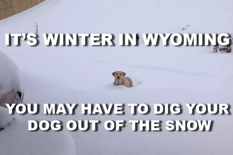 Winter Time Memes That Only a Wyomingite Would Understand [PHOTOS]