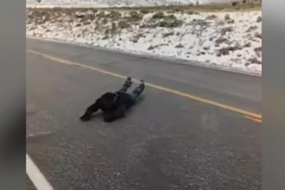 The ‘Wyoming Slip ‘N Slide’ Is The New Winter Craze [VIDEO]