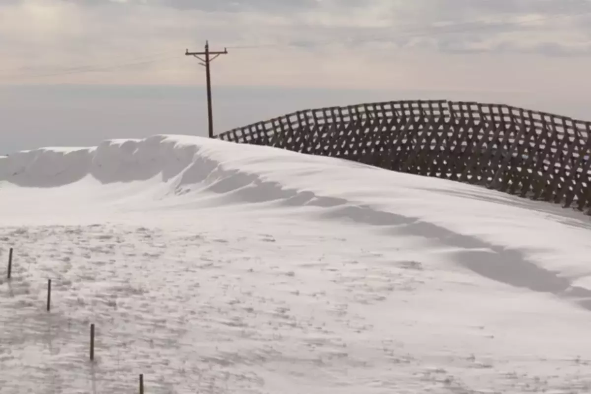 Snow fences: How do they work? What are they? Where did they come