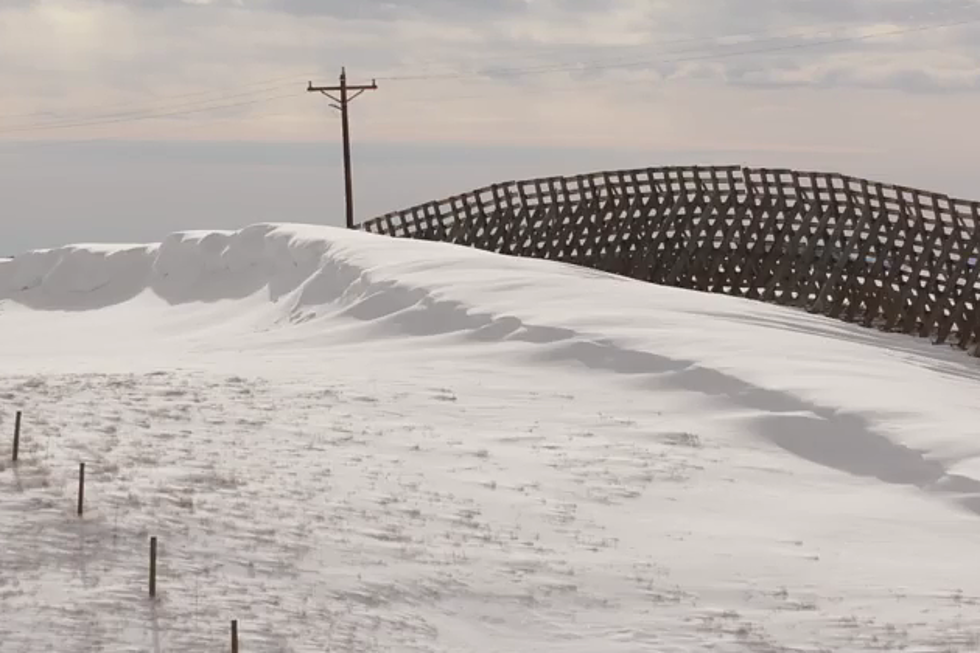 These Fences Are All Over Wyoming. Do You Know What They Do? [VIDEO]