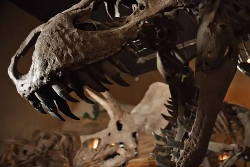 Wyoming is a Paradise for Paleontologists and Dinosaur Lovers [VIDEO]