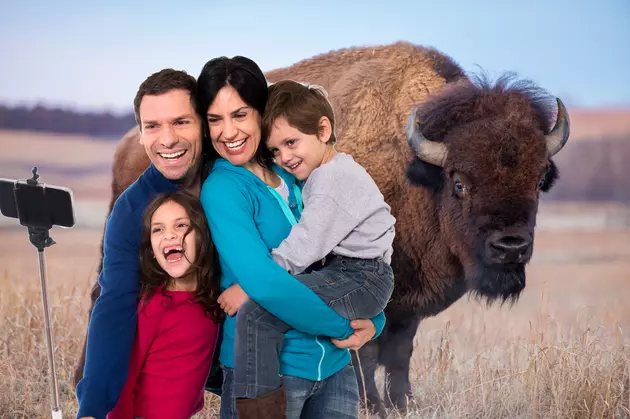 How NOT to Take a Selfie in Yellowstone National Park