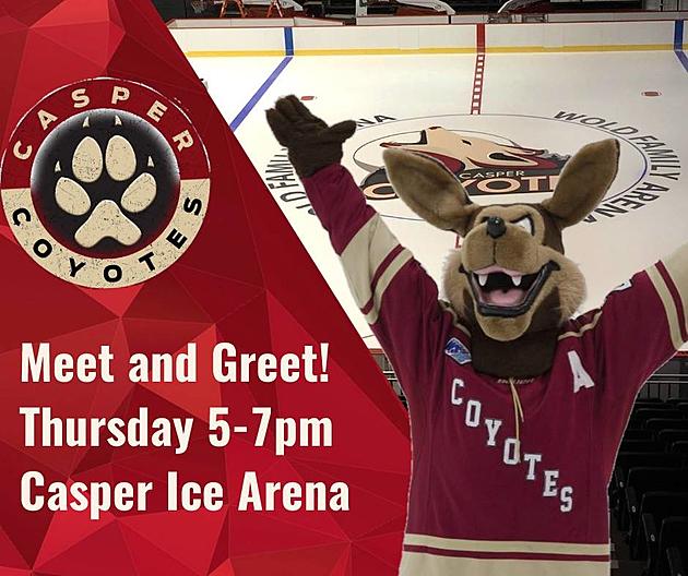 Meet The Coyotes New Head Coach and Business Manager This Thursday &#8211; May 18th, 2017
