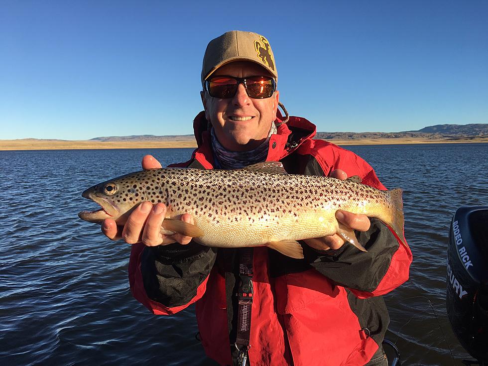 One of the World’s Best Places to Fish for Brown Trout is in Wyoming