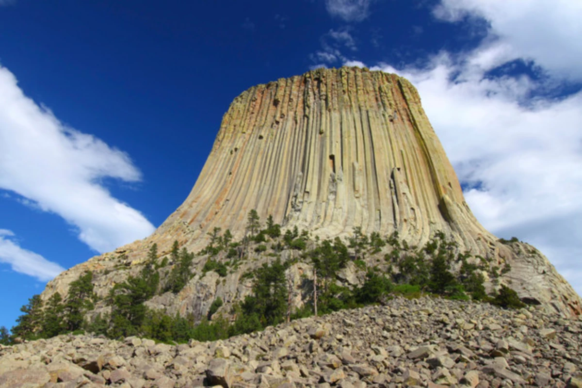 There Is No Giant System of Roots Under Devils Tower - Despite What ...