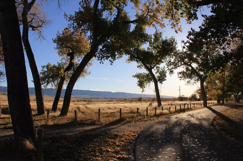 When To See The Fall Colors in Wyoming This Fall 2018