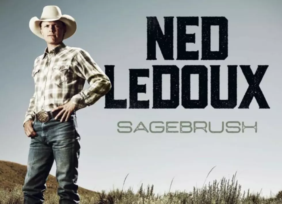 Check Out Ned Ledoux’s New Song and Upcoming New Album [AUDIO]