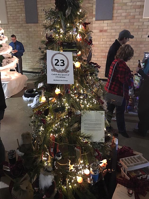 &#8216;Festival of Trees&#8217; Brings Big Bucks for Special Olympics Wyoming [PHOTOS]