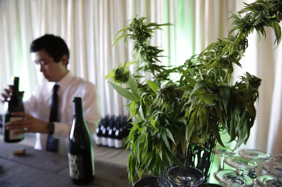‘Weed’ Wine Could be Coming to a Table Near You