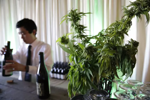 &#8216;Weed&#8217; Wine Could be Coming to a Table Near You