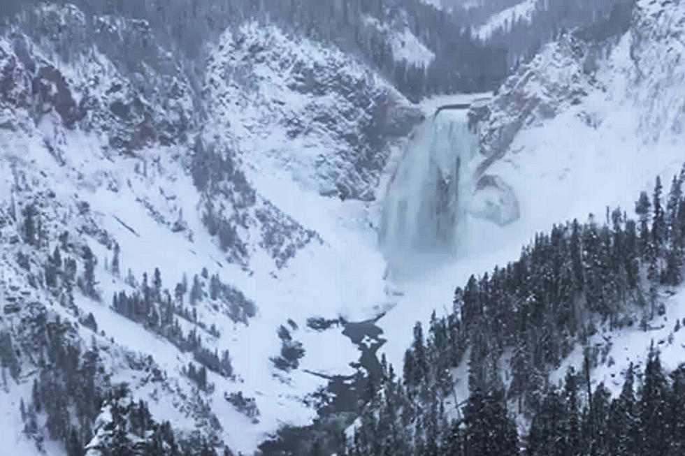 Behold the Majestic Wonders of Yellowstone in Winter [VIDEO]