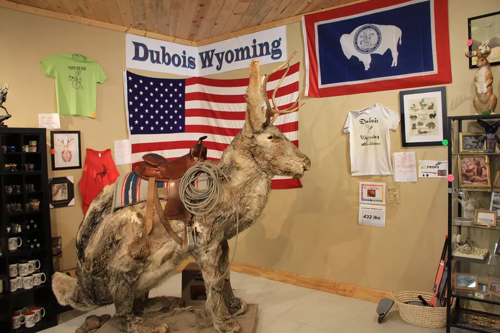 Happy Easter From Wyoming – Our Role In The Jackalope