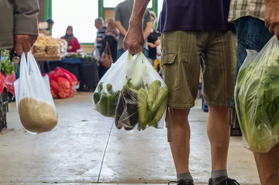 Should Laramie Considers Ditching Plastic Grocery Bags? [POLL]