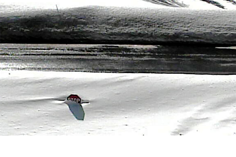 Wyoming Stop Sign Finally Liberated from Snow in June [TIME-LAPSE]