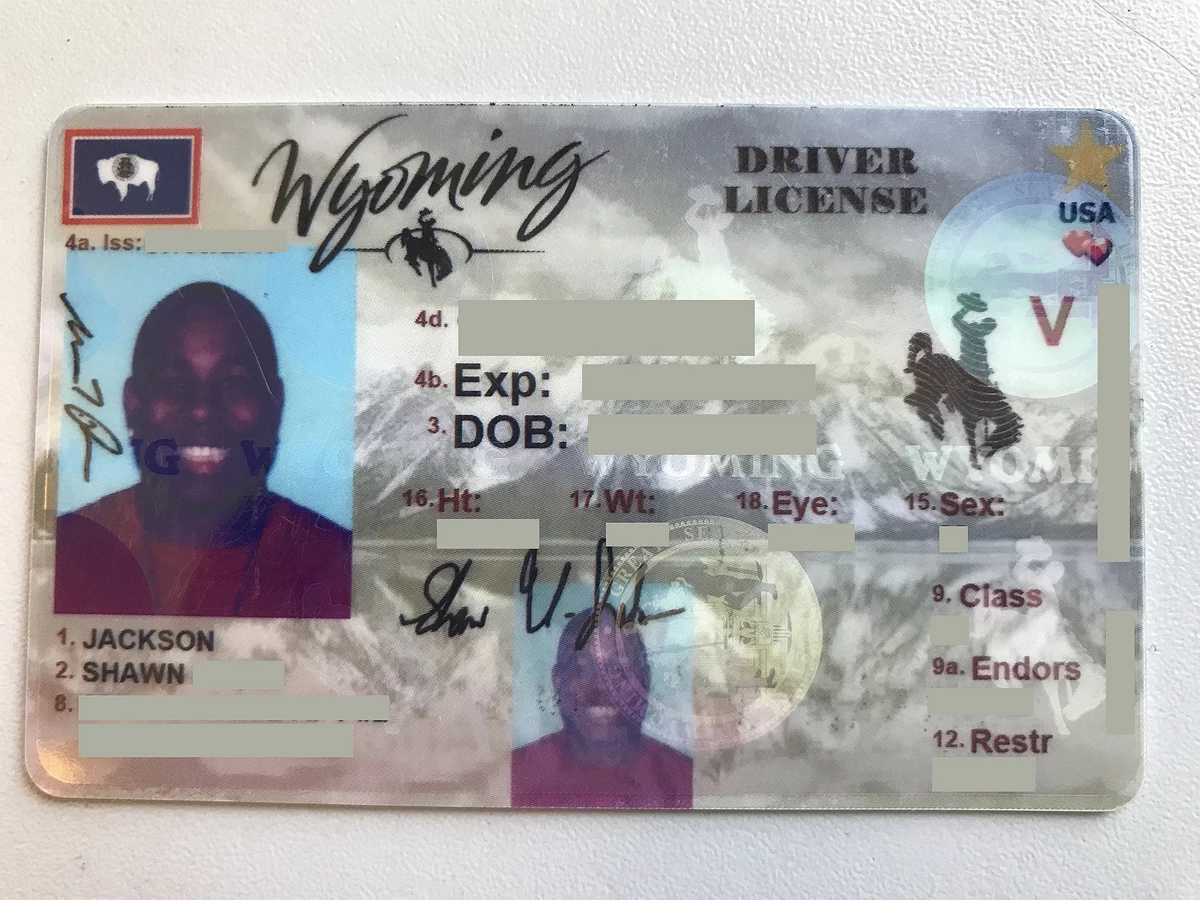 Дэдди сайт license casinos. Wyoming Driver License. North Dakota Driver License. Driver License USA.