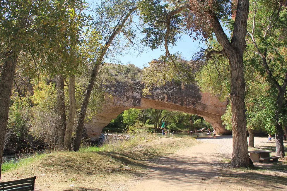 The Hidden Fairy Gardens at Ayres Natural Bridge [PHOTOS]