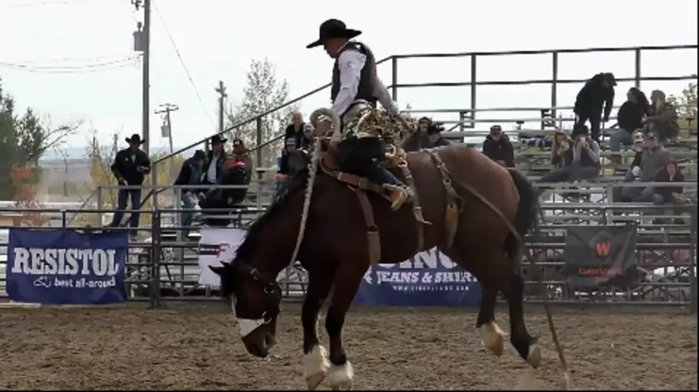CWC Rodeo Cowboy Brady Thurston is Enjoying a Solid Season.