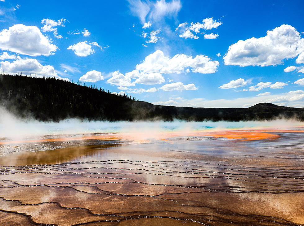 Best of the Worst One-Star Yellowstone Reviews on Yelp