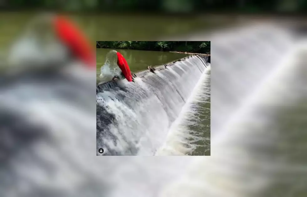 Watch Professional Kayaker Perform Crazy Flip Over a Dam