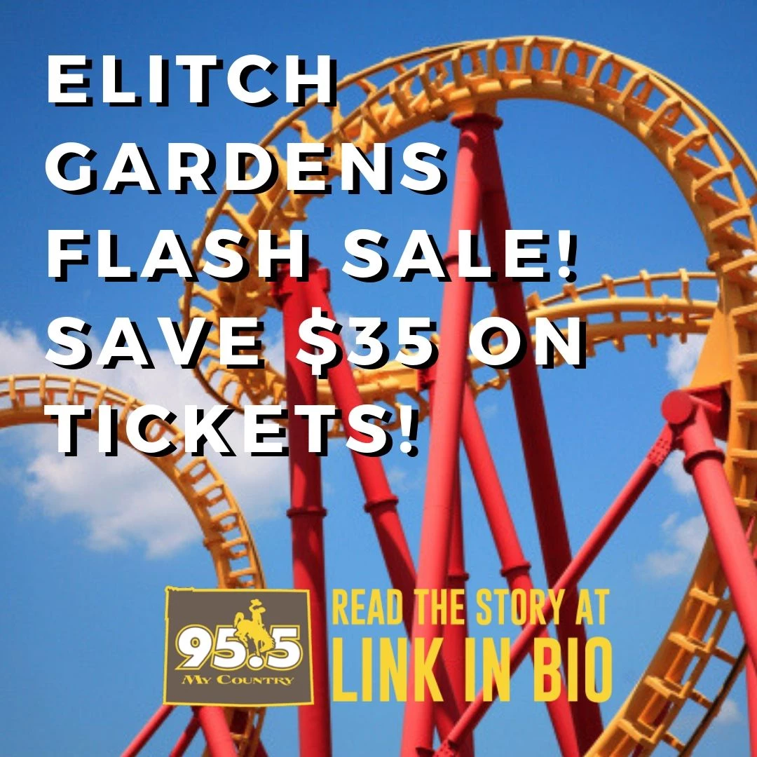 Elitch Gardens Flash Sale Saves You 35 But It Ends Tonight
