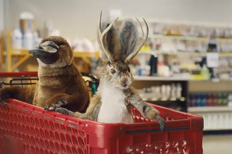 [WATCH] ‘Lunchables’ Turn Wyoming’s Jackalope into a Star