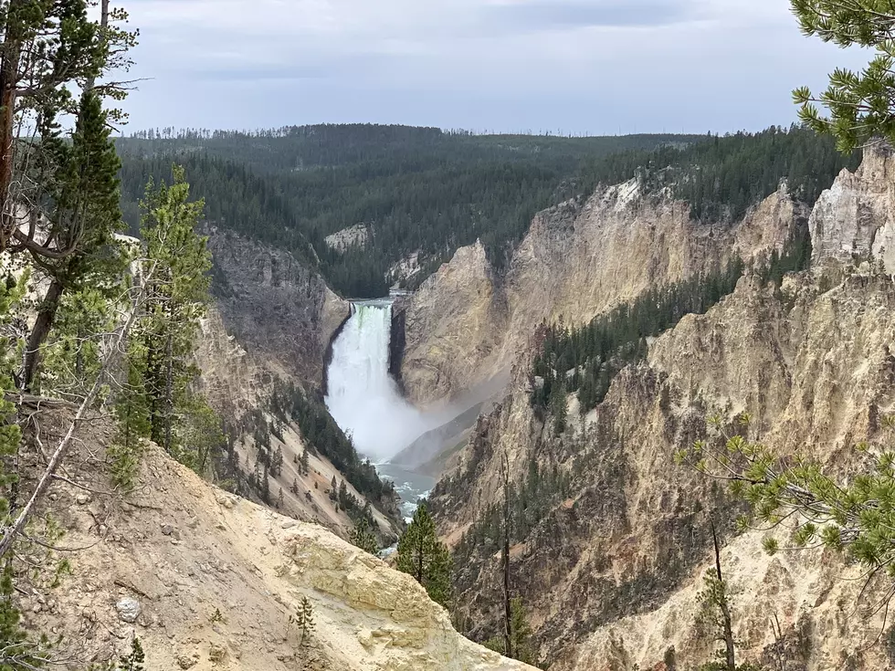 ROAD TRIP ALERT: All National Parks Free Saturday